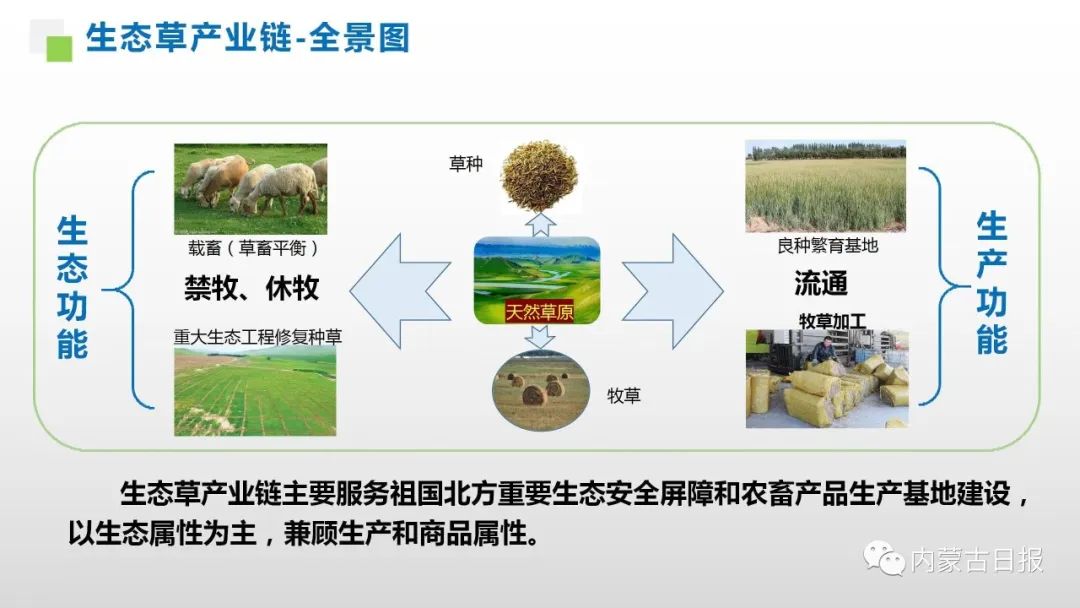 2023.2.23王莉霞主持研究做大做强自治区重点产业链 4.jpg