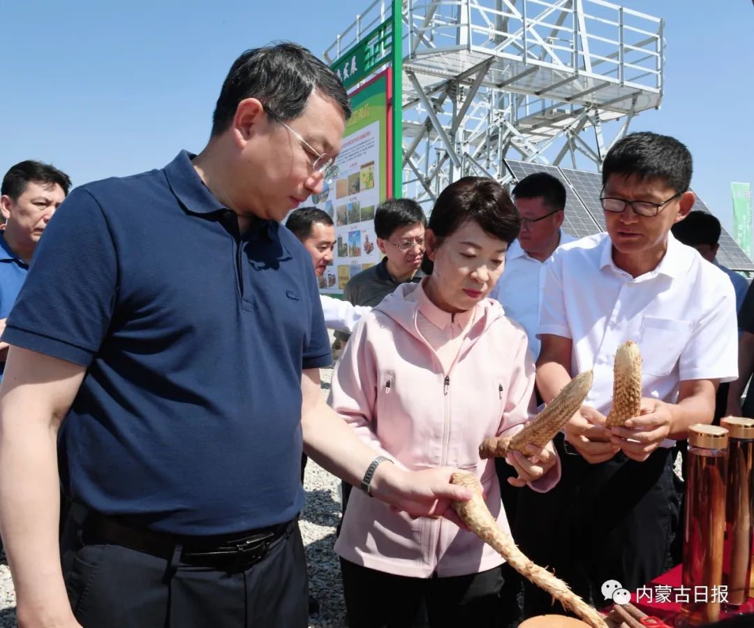 2023.8.29王莉霞在三北工程黄河大套攻坚战推进会上发言调研博灌区节水控水工作2.jpg