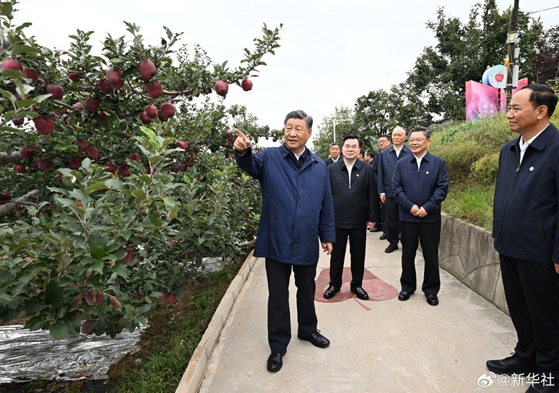 2024.9.13    习近平在陕西保吉市和甘肃天水市考察2.jpg