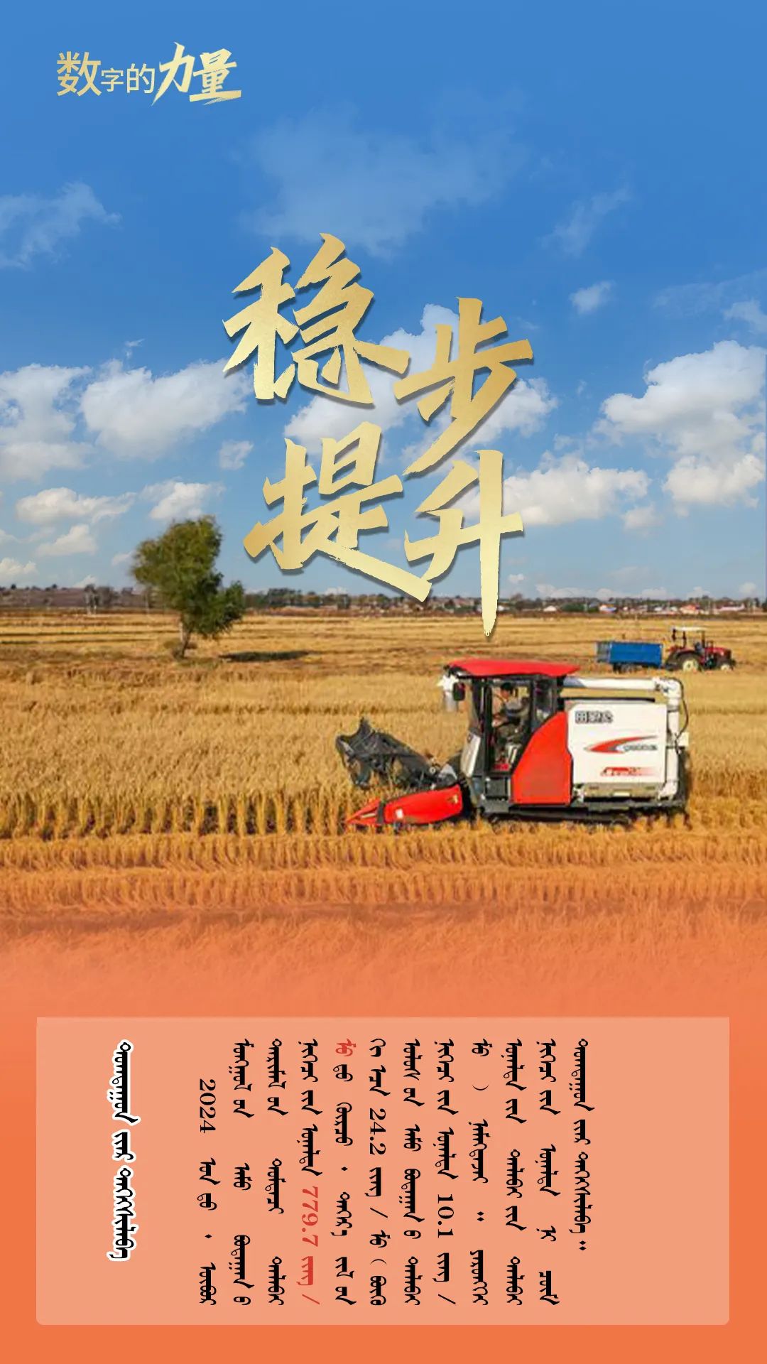 2024.12.25    北疆仓满粮充满信心4.jpg