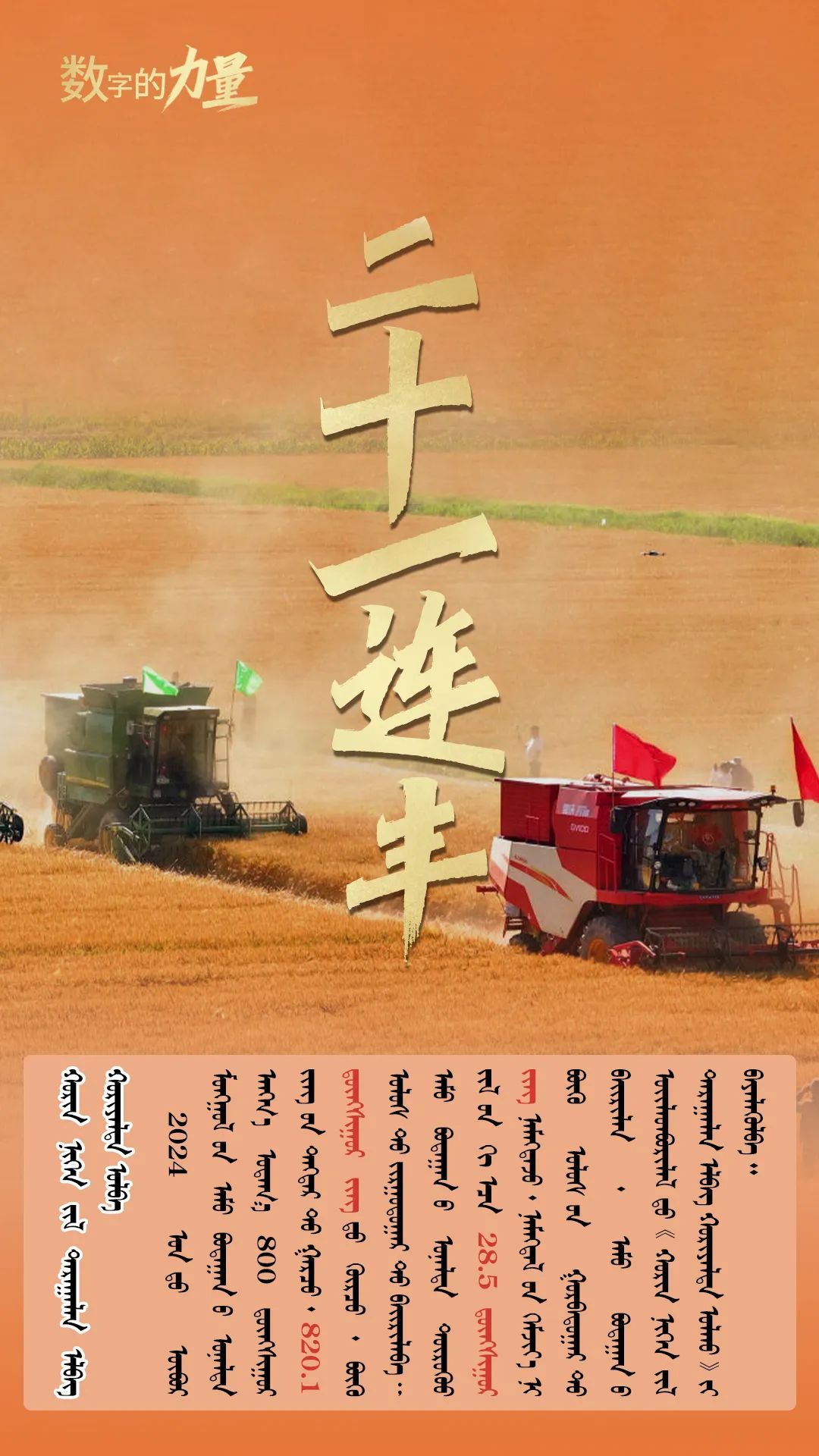 2024.12.25    北疆仓满粮充满信心1.jpg