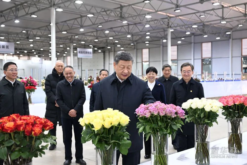 2025.3.20    习近平在云南丽江考察调研1.jpg