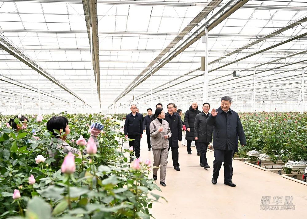 2025.3.20    习近平在云南丽江考察调研3.jpg
