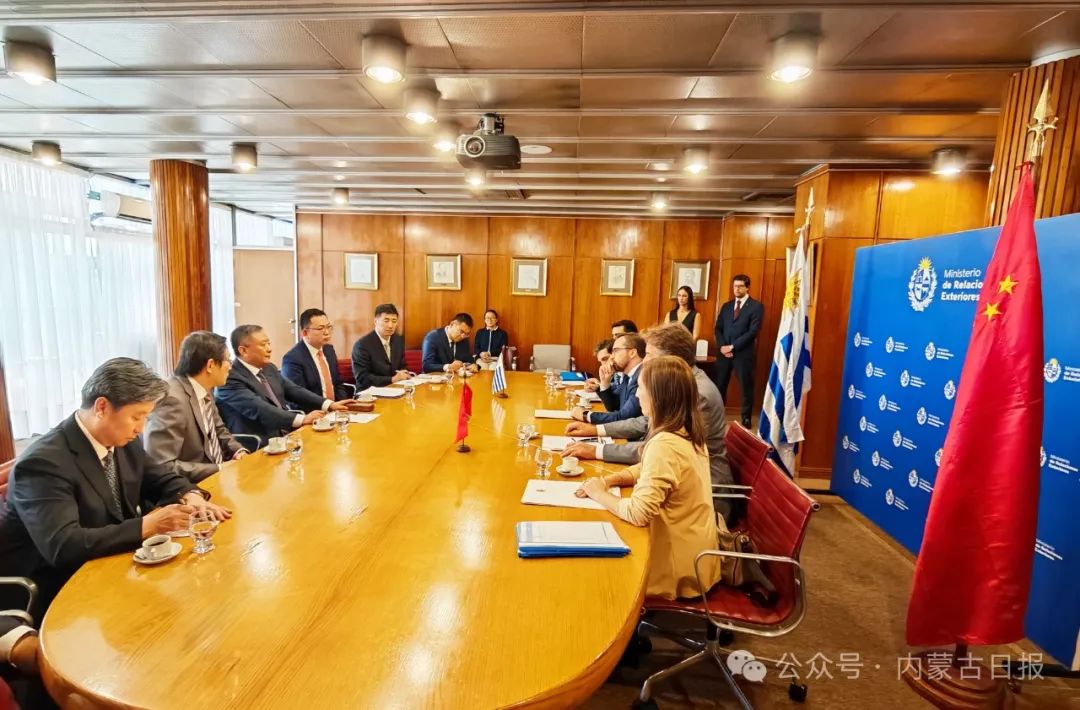 2025.2.10    孙绍骋率团访问巴西和乌拉圭8.jpg