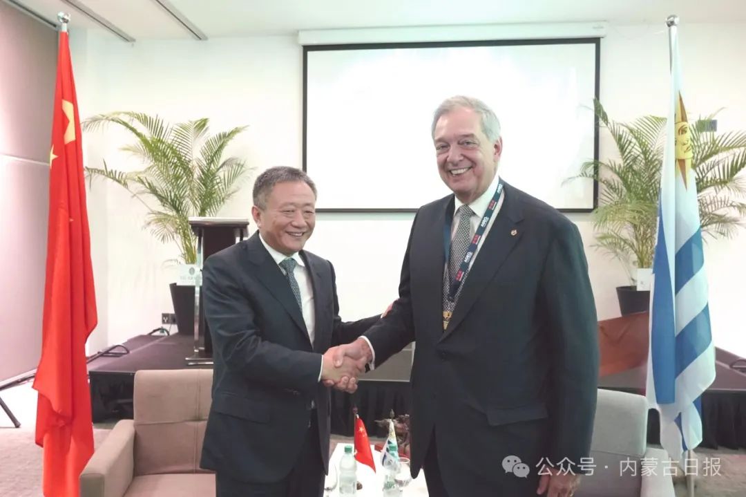 2025.2.10    孙绍骋率团访问巴西和乌拉圭10.jpg