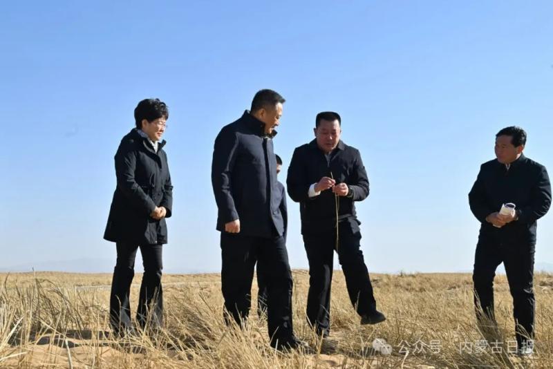2025.3.20    孙绍骋在阿拉善盟调研防沙治沙工作1.jpg